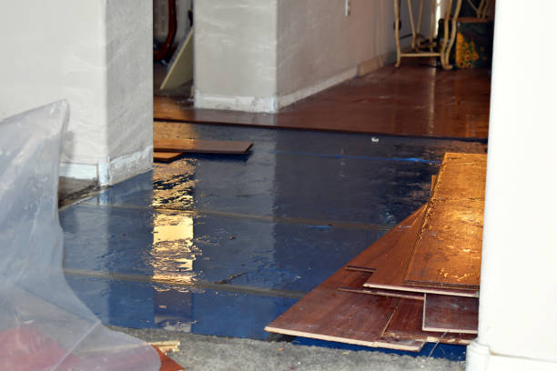 Professional Burst Pipe Cleanup technician working in Palatine Bridge, NY